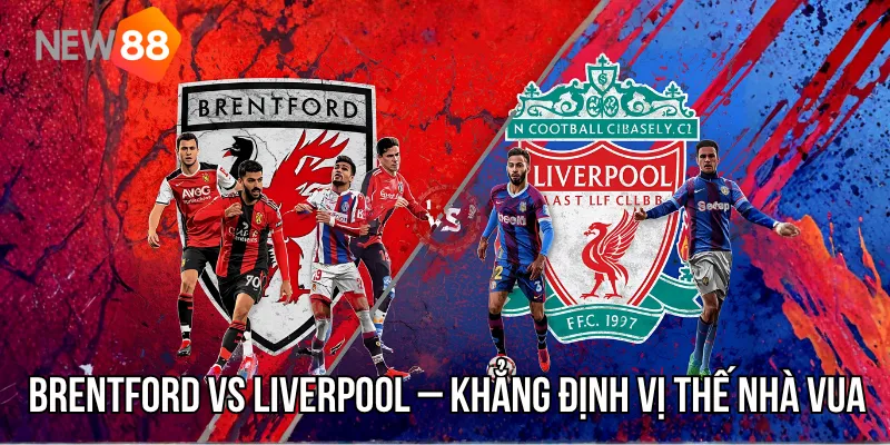 Brentford Vs Liverpool – The Kop Trỗi Dậy Khẳng Định Vị Thế Nhà Vua